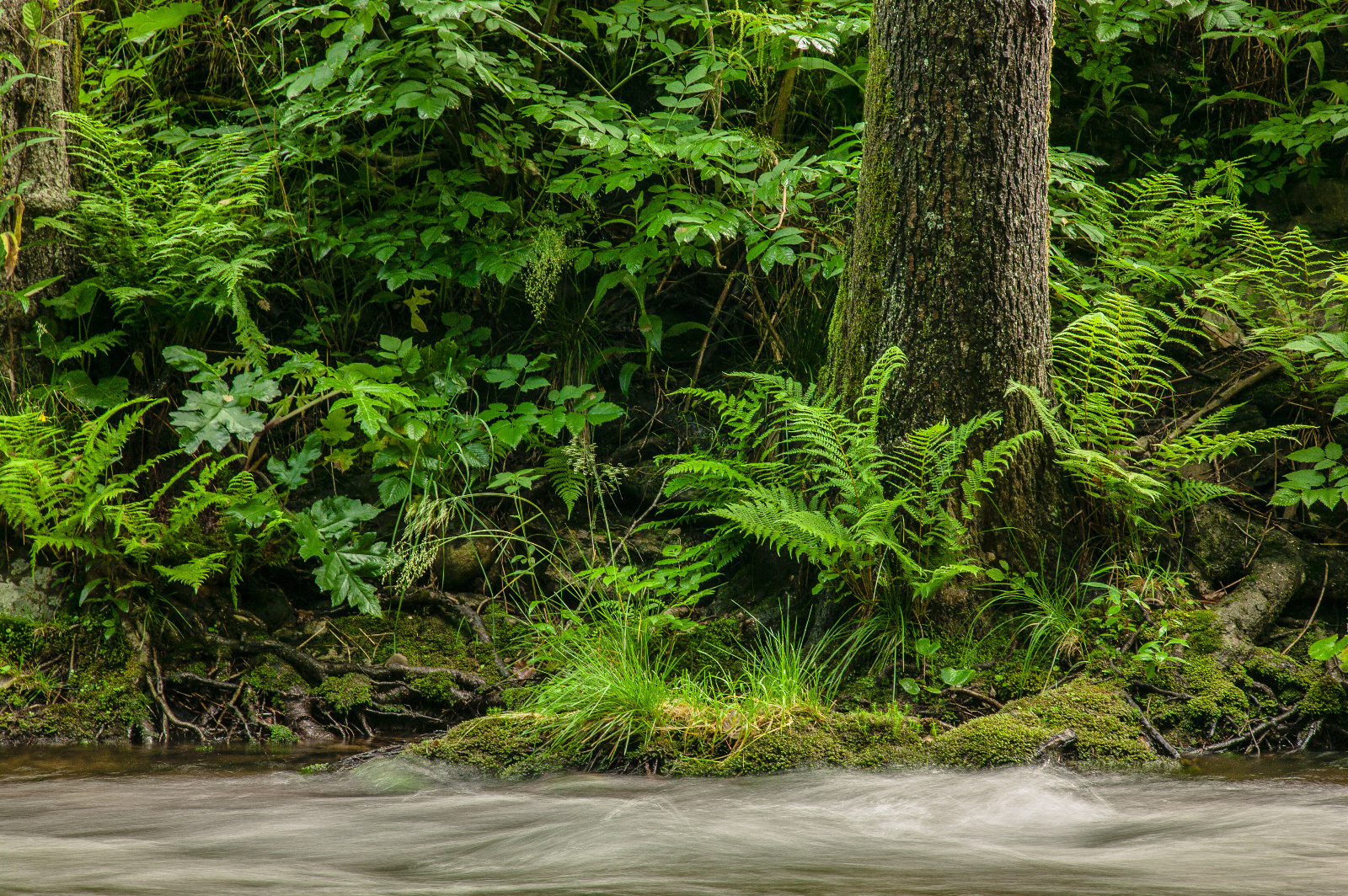 20DU2811 (16 von 105)